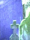 Matutinus